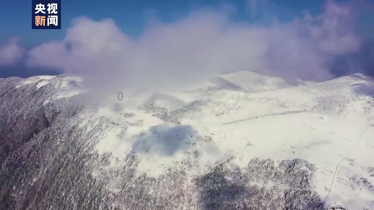 深入了解怎么拍照好看又上镜,知识星球平台解析专家视角